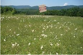 HNV grasslands are often sold for development in more touristic areas; Y.Kazakova