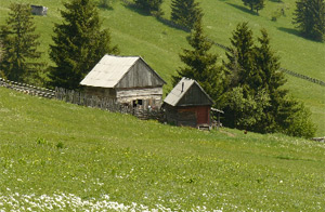 meadows of Pogny-havas mountain