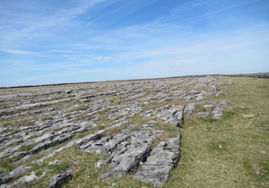 Limestone pavement