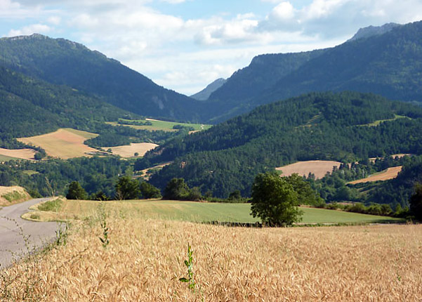 Landscape in Trièves