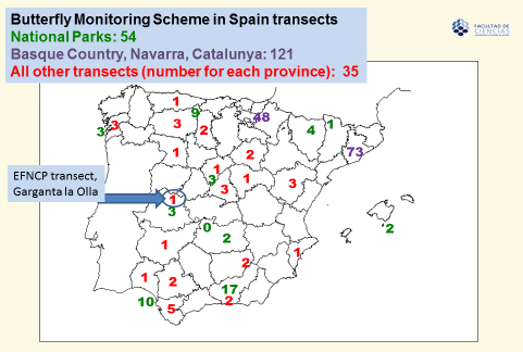 Spanish Butterfly Monitoring Scheme