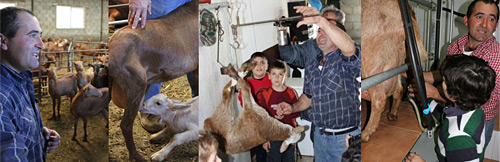 Spanish school children learn why we need shepherds