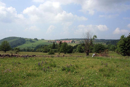 Type 2 HNV farmland