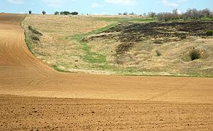 large-scale arable fields