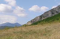 sub-alpine pastures and semi-natural grasslands