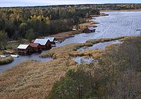 Coastal meadows