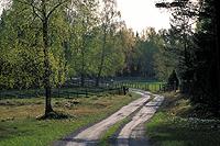 Pasture, Lönnholmen