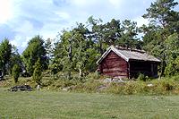 Restoration of a meadow