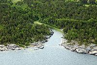 Pine trees on rocky ground