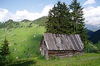 Abandoned barn