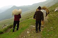 Smallholders returning from high pastures with cheese and a lamb