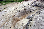 Feeding site in sand dune