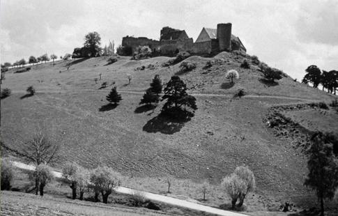 Castle Brauneck