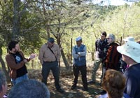 Pastoralism in Spain