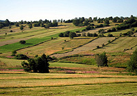 The landscape mosaic in the German Rhön harbours many rare species.