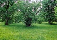 High Nature Value Farming in Estonia