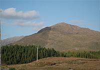 Effect of different grazing regimes on a mountain in Connemara